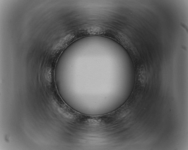 X0000103900690200809191239