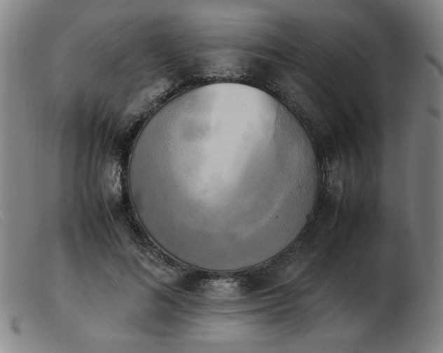 X0000103900692200809191239