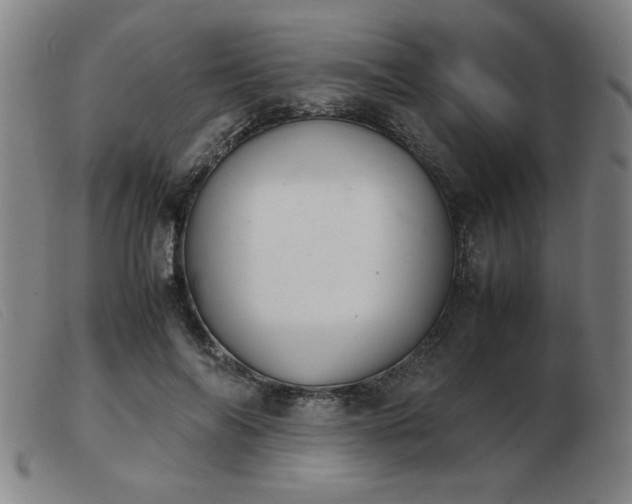 X0000103900694200809191239