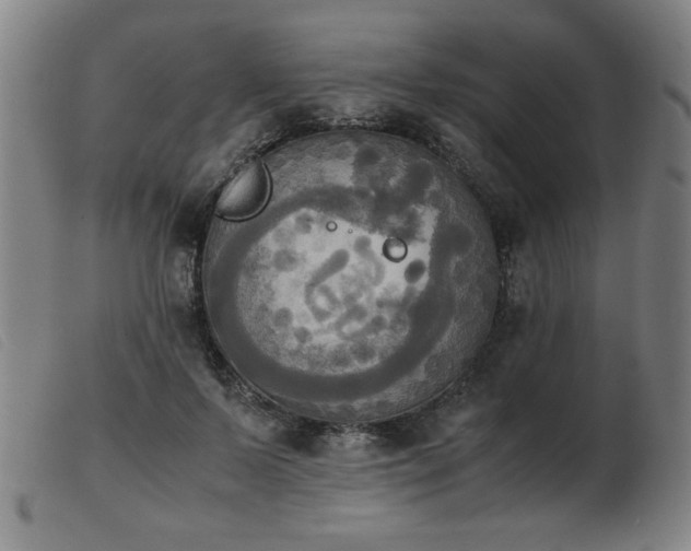 X0000103900695200809191238