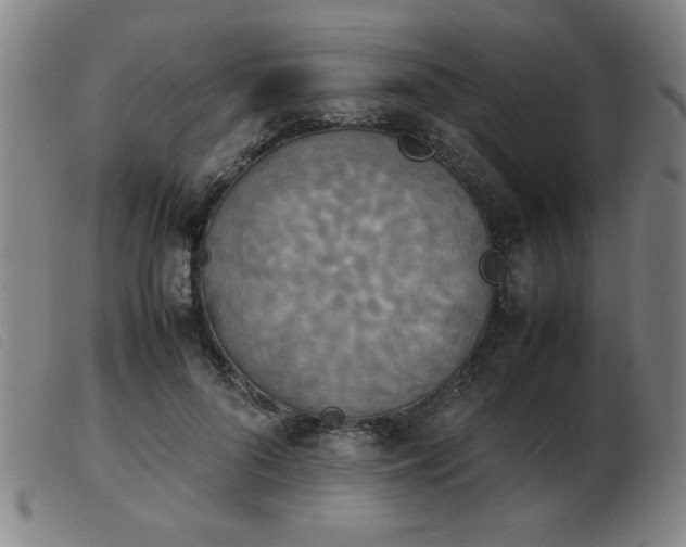 X0000103900696200809191238