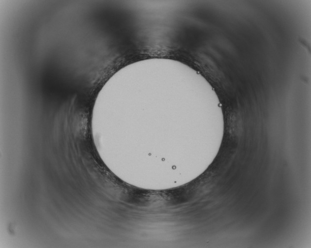 X0000103900697200809191238