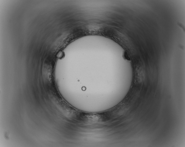 X0000103900698200809191238