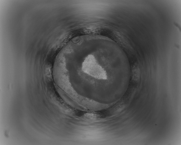 X0000103900699200809191238