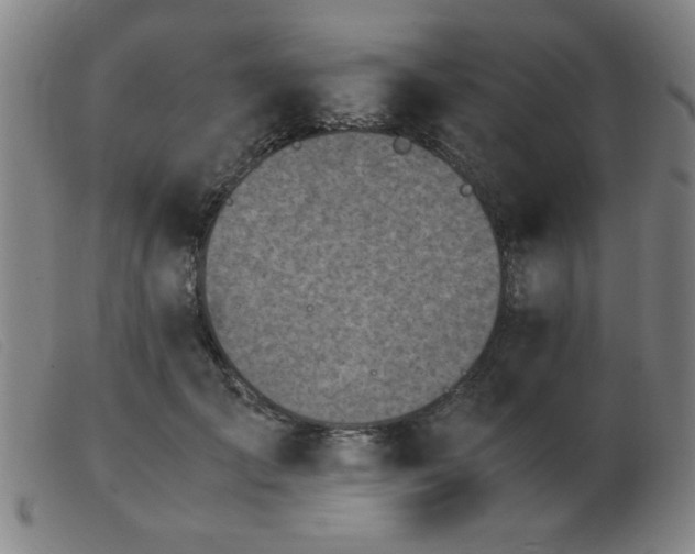X0000103900701200809191238