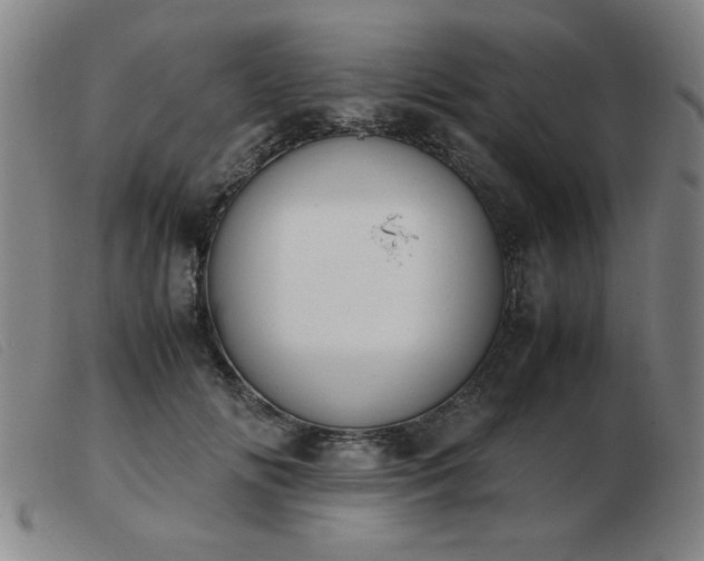 X0000103900702200809191238