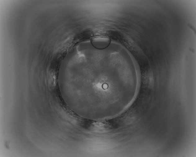 X0000103900703200809191238