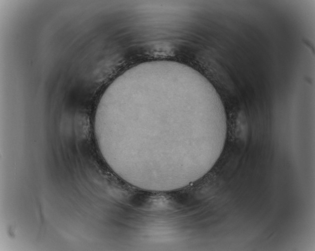 X0000103900704200809191238