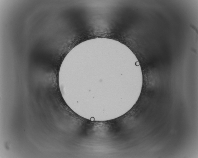 X0000103900705200809191238