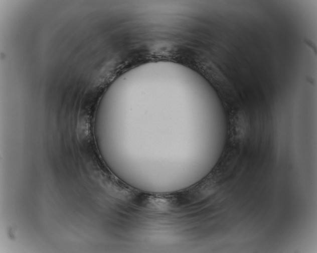 X0000103900706200809191238