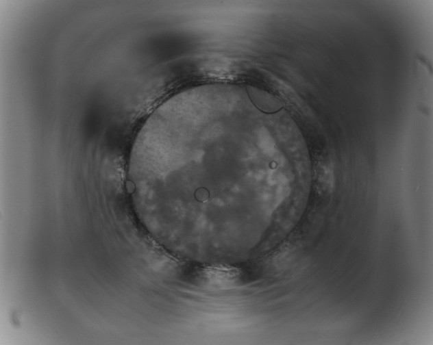 X0000103900707200809191238