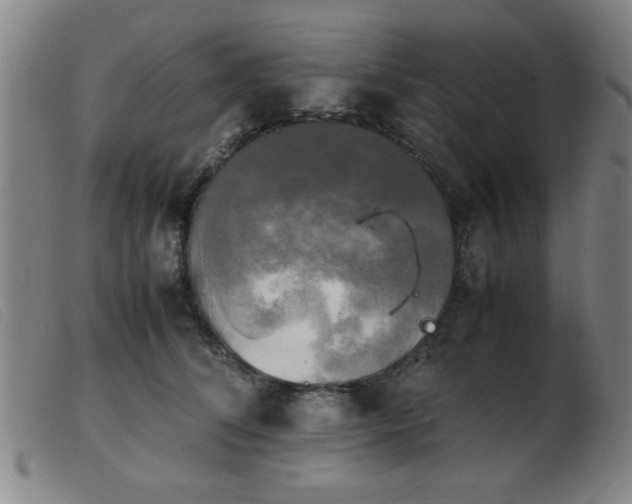 X0000103900708200809191238