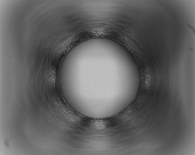 X0000103900710200809191238