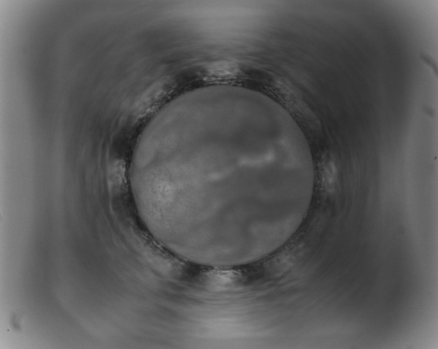 X0000103900711200809191238