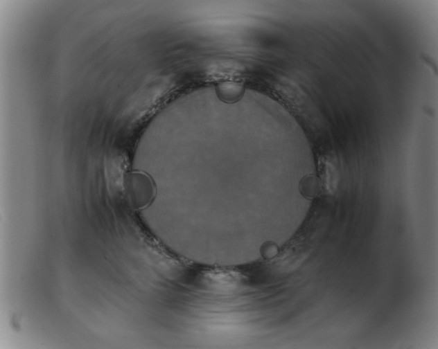 X0000103900712200809191238