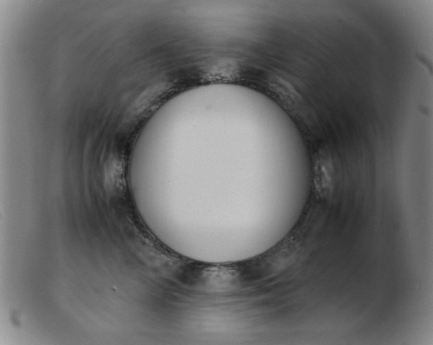X0000103900714200809191238