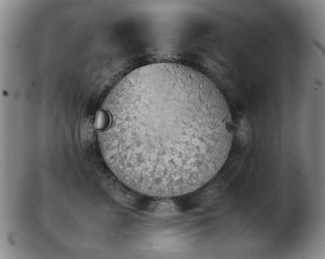 X0000103900715200809191238