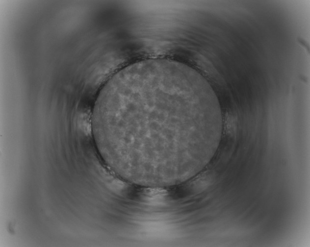 X0000103900719200809191238