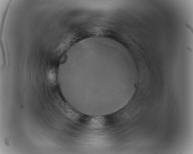 X0000103900720200809191238
