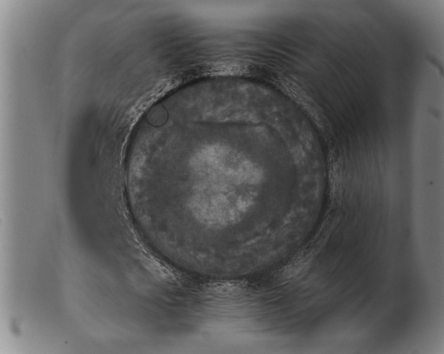 X0000103900721200809191237