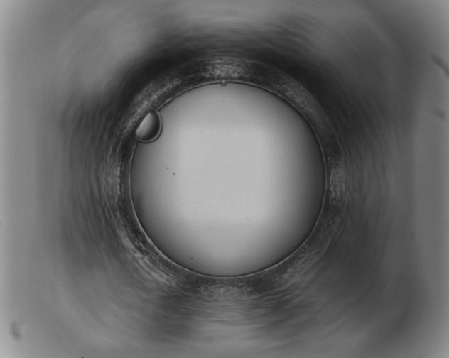 X0000103900722200809191237