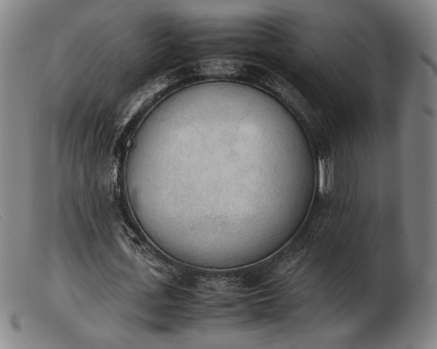 X0000103900723200809191237
