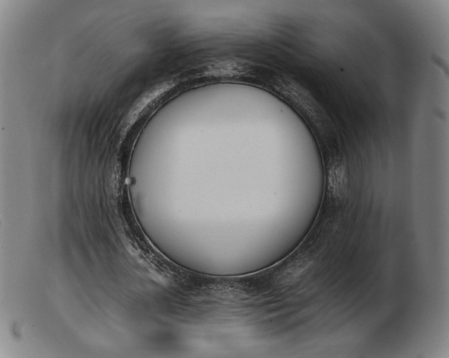 X0000103900724200809191237