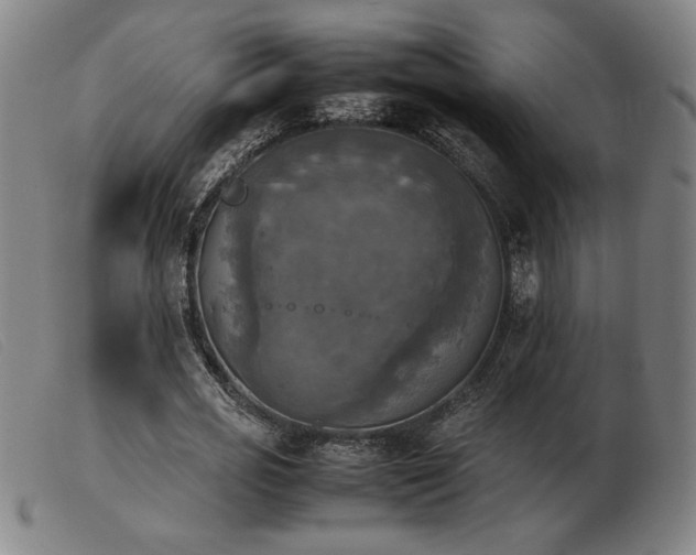 X0000103900725200809191237