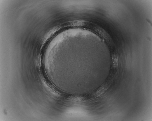 X0000103900726200809191237