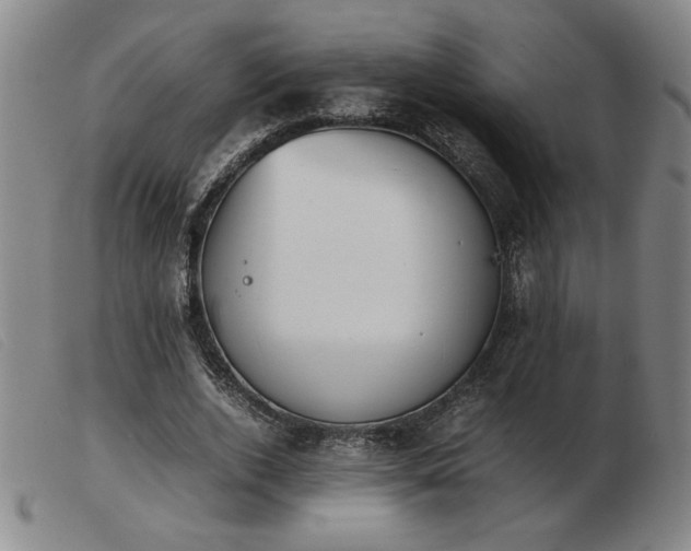 X0000103900728200809191238