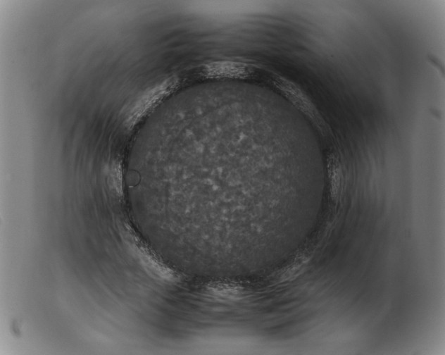 X0000103900729200809191238