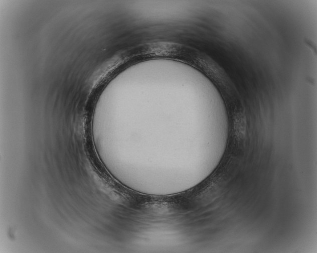 X0000103900730200809191238