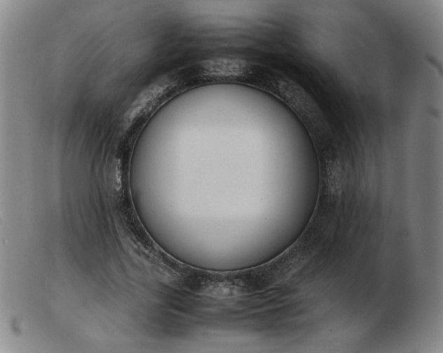 X0000103900731200809191238
