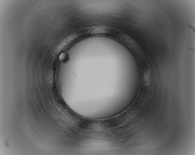 X0000103900732200809191238