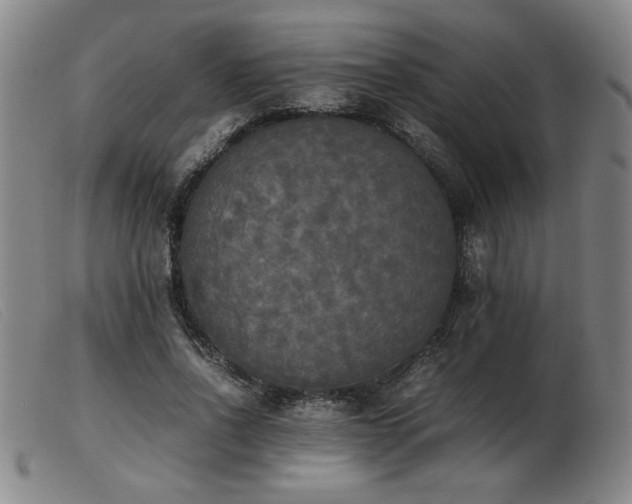 X0000103900734200809191238