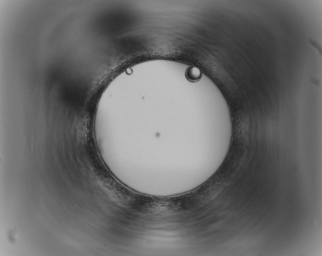 X0000103900736200809191238