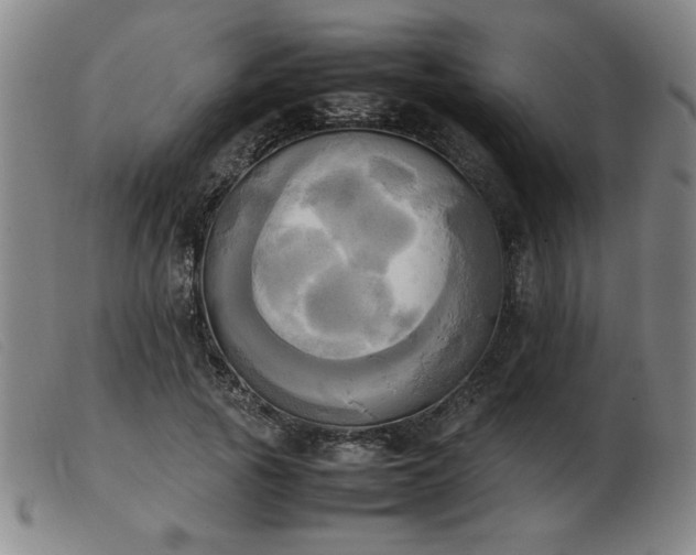 X0000103900737200809191238