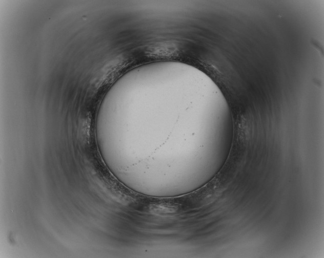 X0000103900739200809191238