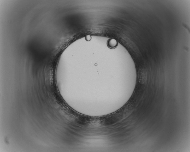 X0000103900740200809191238