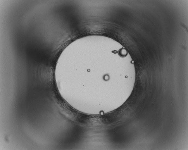 X0000103900744200809191238