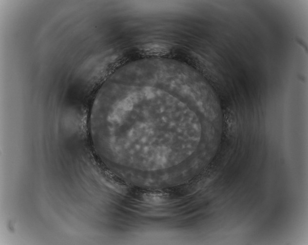 X0000103900745200809191238