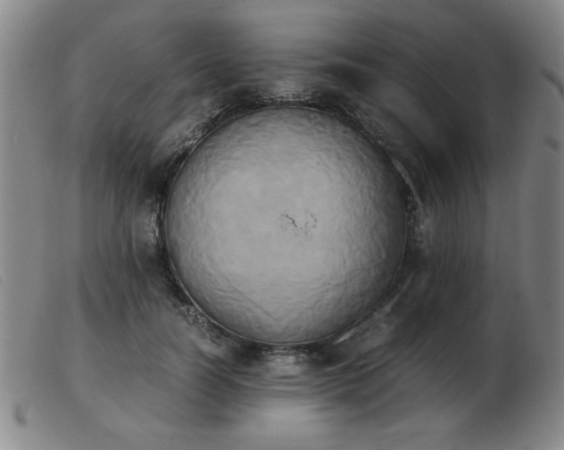 X0000103900746200809191238