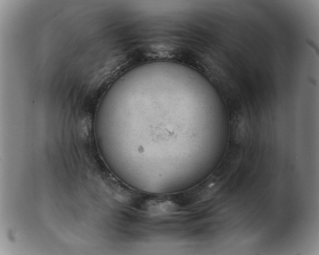 X0000103900747200809191238