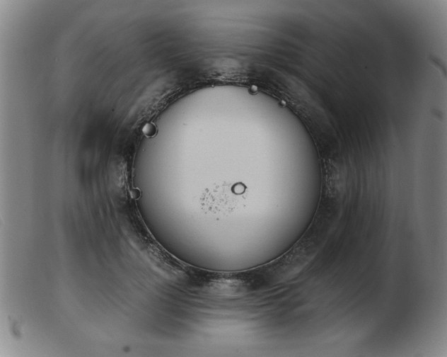 X0000103900748200809191238