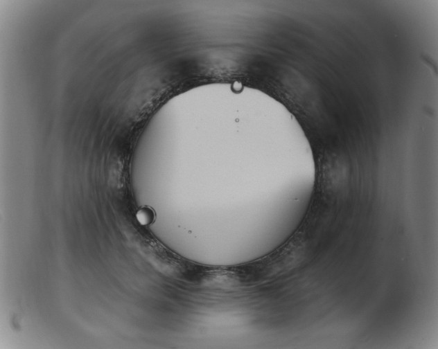 X0000103900750200809191238