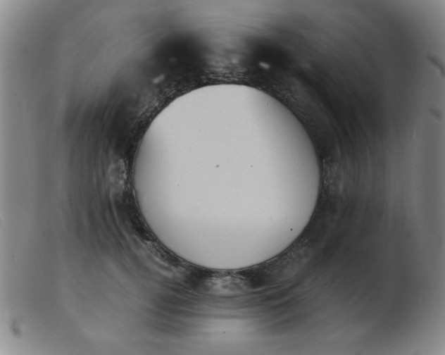 X0000103900752200809191238