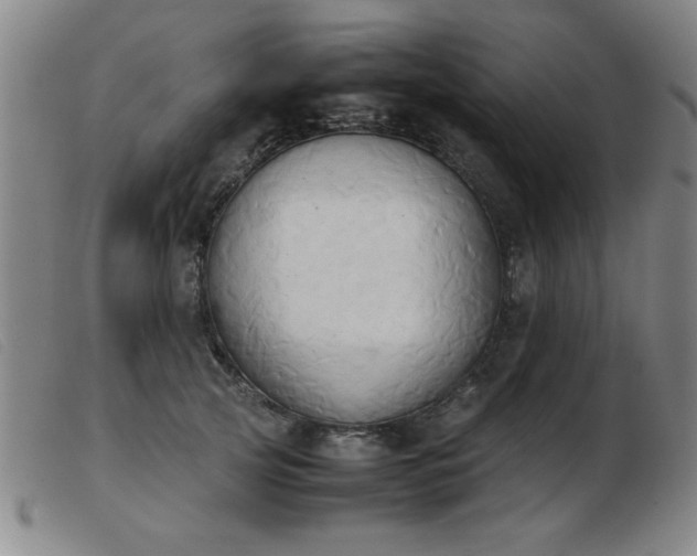 X0000103900753200809191238