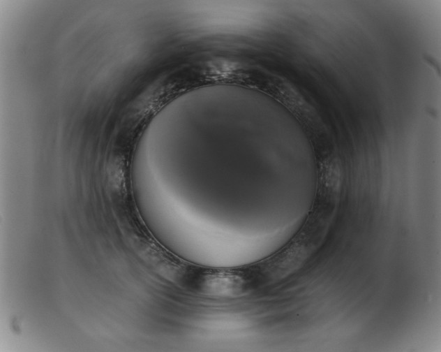 X0000103900754200809191238