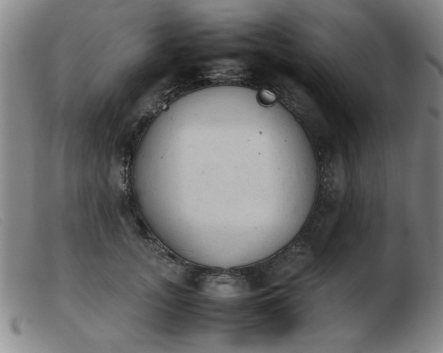 X0000103900755200809191238