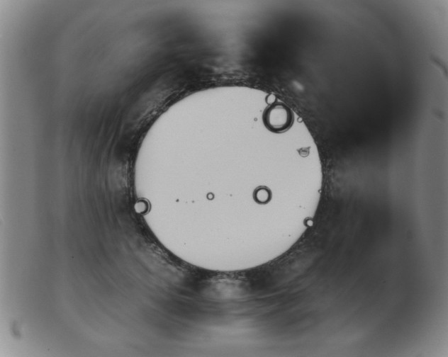 X0000103900756200809191238